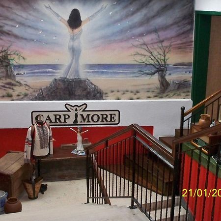 Hotel Carpymore Biograd Na Moru Eksteriør billede